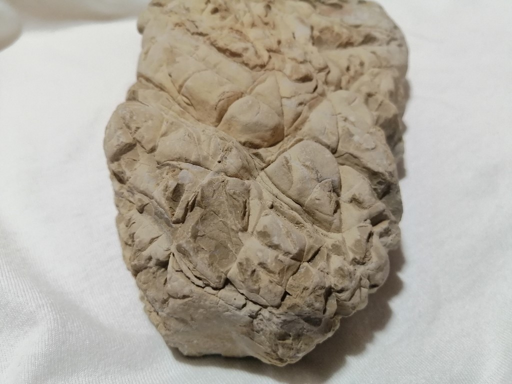 ResizerImage1024X7681