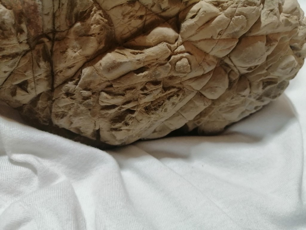 ResizerImage1024X76822