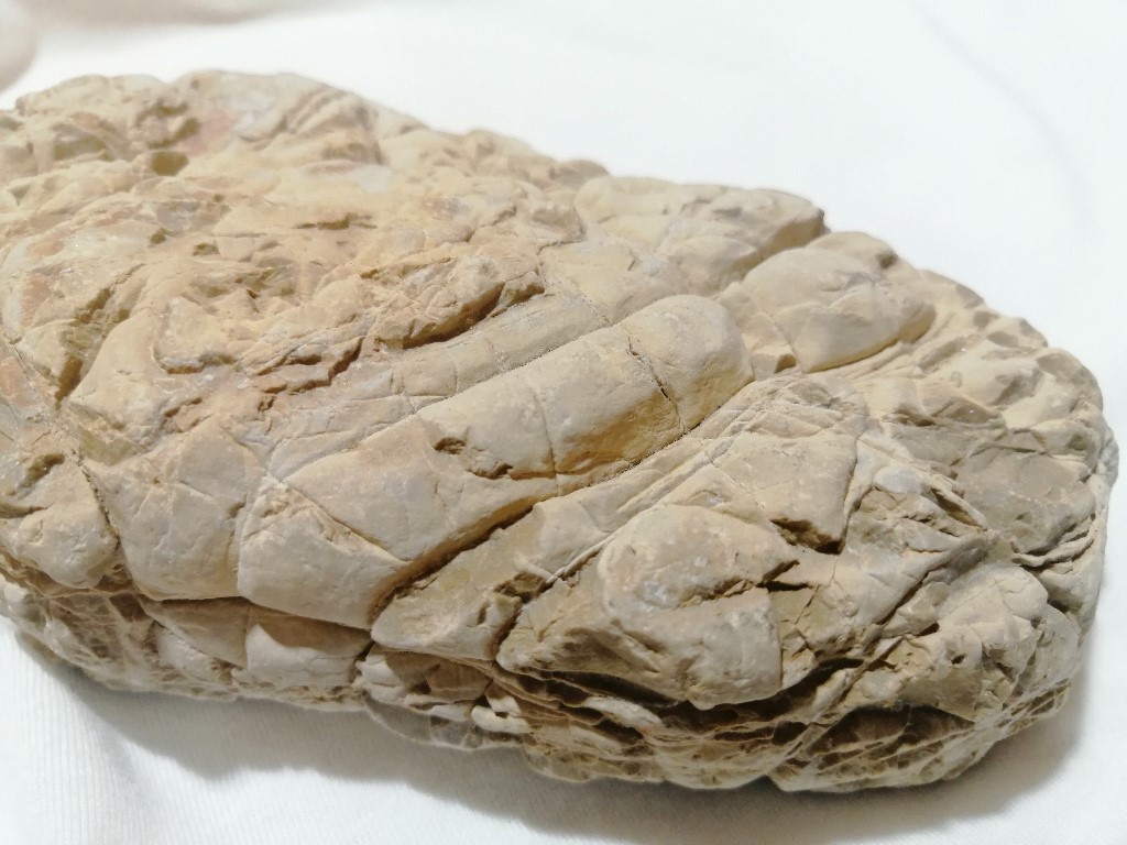 ResizerImage1024X7685