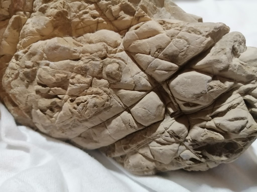 ResizerImage1024X76855