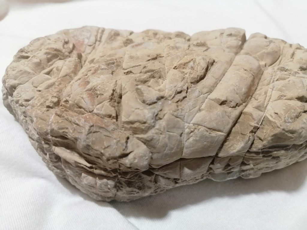 ResizerImage1024X7686