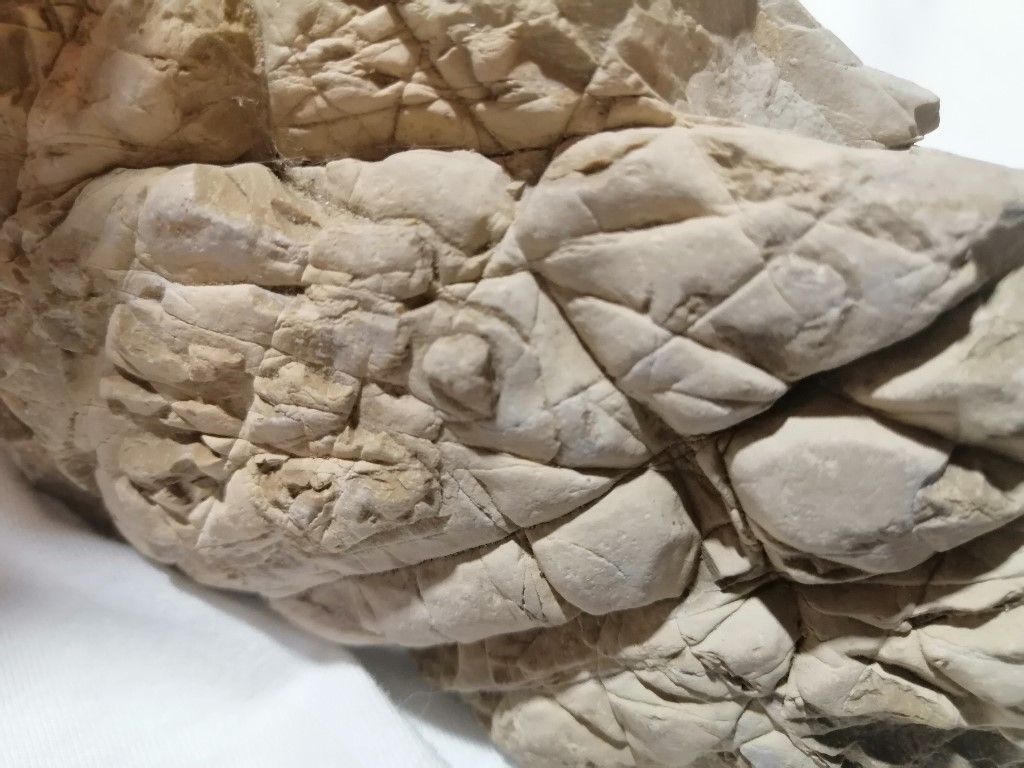 ResizerImage1024X7687