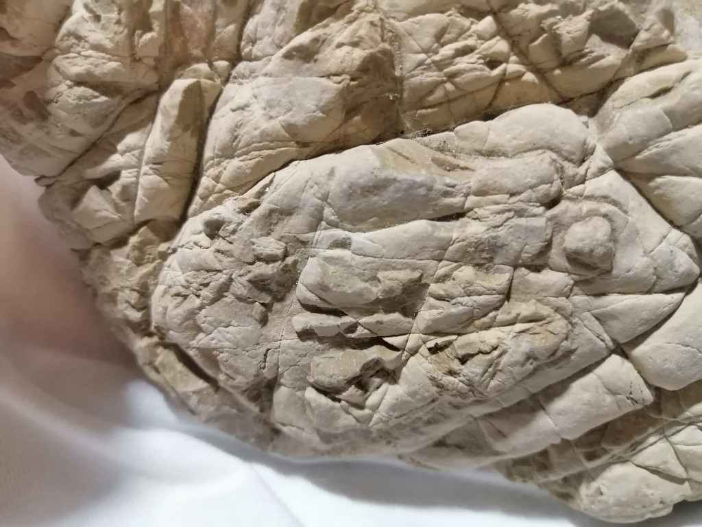 ResizerImage1024X7688